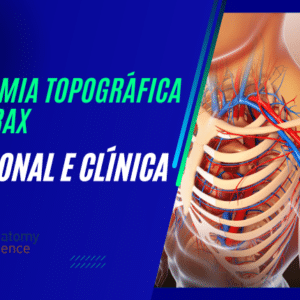 Anatomia Topográfica do Tórax - Funcional e Clínica