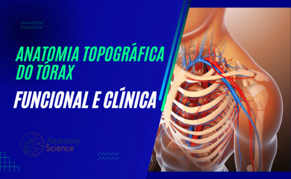 Anatomia Topográfica do Tórax - Funcional e Clínica