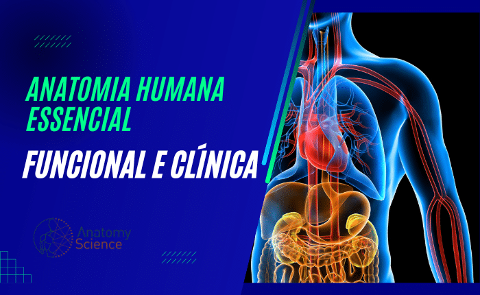 Anatomia Humana Essencial